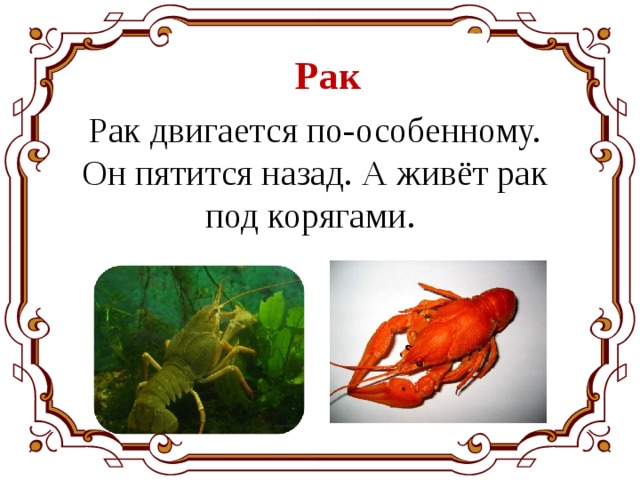 Жил был рак