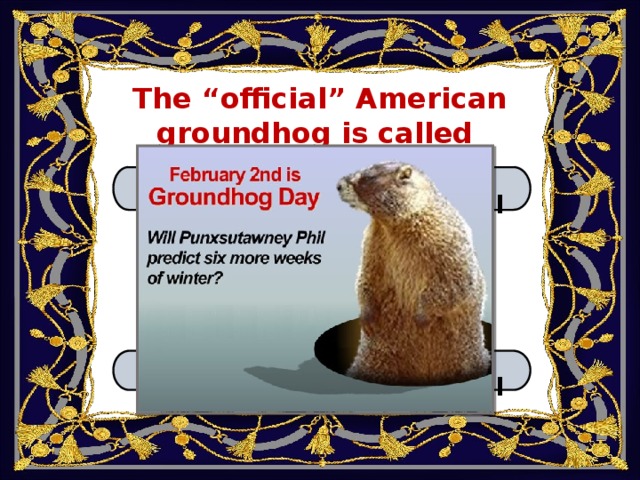 The “official” American groundhog is called B. Will А. Bob C. Bill D. Phil 