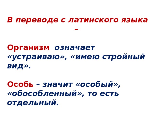 Особь это. Особь это в биологии примеры. Особь определение. Что в переводе с латинского означает 