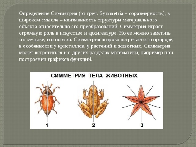 Симметрия тела полость тела. Виды симметрии природы и в архитектуре. Осевая соразмерность в архитектуре. Виды симметрии в искусстве. Симметрия в природе искусстве и науке.