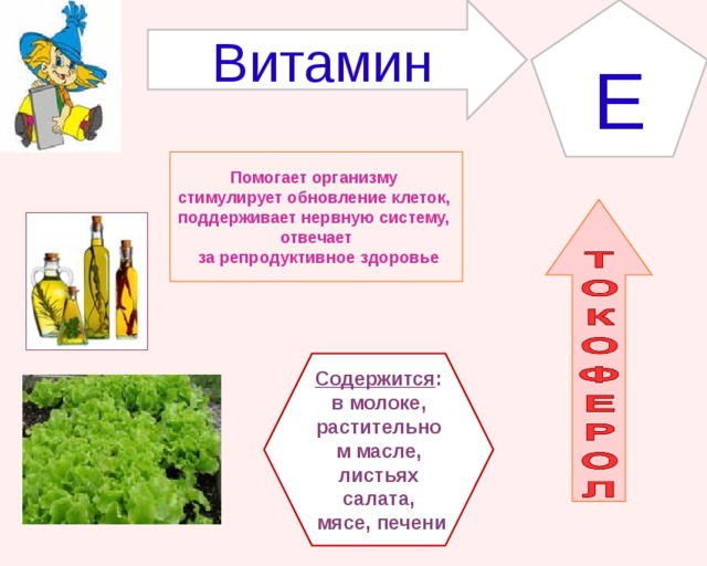 E Витамин Помогает организму стимулирует обновление клеток, поддерживает нервную систему, отвечает  за репродуктивное здоровье Содержится : в молоке, растительном масле, листьях салата,  мясе, печени 