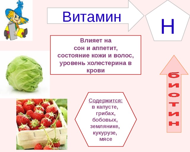 Витамин H Влияет на  сон и аппетит, состояние кожи и волос, уровень холестерина в крови Содержится: в капусте, грибах, бобовых, землянике, кукурузе, мясе 