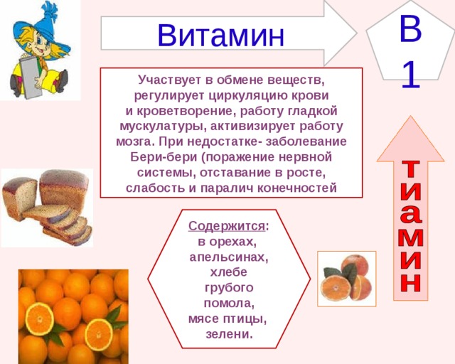 B1 Витамин Участвует в обмене веществ, регулирует циркуляцию крови и кроветворение, работу гладкой мускулатуры, активизирует работу мозга. При недостатке- заболевание Бери-бери (поражение нервной системы, отставание в росте, слабость и паралич конечностей Содержится : в орехах, апельсинах,  хлебе грубого помола, мясе птицы, зелени. 