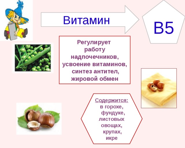 B5 Витамин Регулирует работу надпочечников, усвоение витаминов,  синтез антител, жировой обмен Содержится: в горохе,  фундуке, листовых овощах,  крупах, икре 