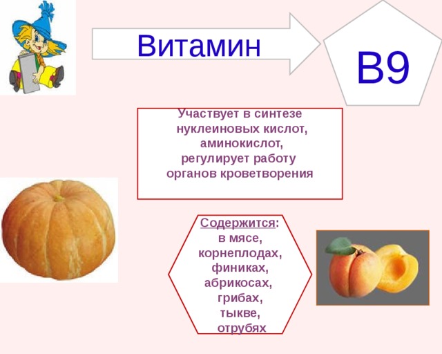 B9 Витамин Участвует в синтезе  нуклеиновых кислот,  аминокислот, регулирует работу органов кроветворения   Содержится : в мясе, корнеплодах, финиках, абрикосах, грибах, тыкве,  отрубях 