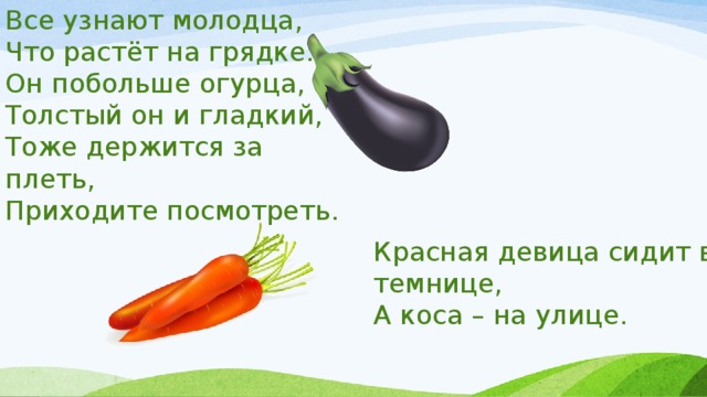 Все узнают молодца, Что растёт на грядке: Он побольше огурца, Толстый он и гладкий, Тоже держится за плеть, Приходите посмотреть. Красная девица сидит в темнице, А коса – на улице. 