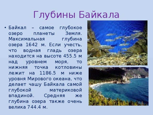 Глубины Байкала Байкал – самое глубокое озеро планеты Земля. Максимальная глубина озера 1642 м. Если учесть, что водная гладь озера находится на высоте 455.5 м над уровнем моря, то нижняя точка котловины лежит на 1186.5 м ниже уровня Мирового океана, что делает чашу Байкала самой глубокой материковой впадиной. Средняя же глубина озера также очень велика 744.4 м. 