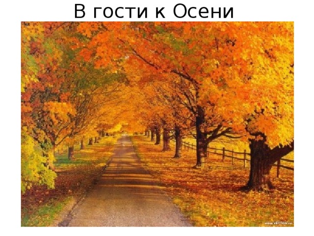 В гости к Осени 