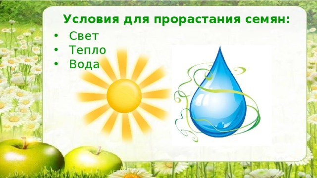 Условия рост. Тепло для роста растений. Свет тепло вода. Обозначения свет тепло вода. Вода для растений для дошкольников.