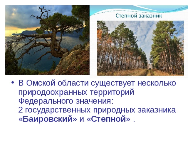 В Омской области существует несколько природоохранных территорий Федерального значения:  2 государственных природных заказника « Баировский » и « Степной » .