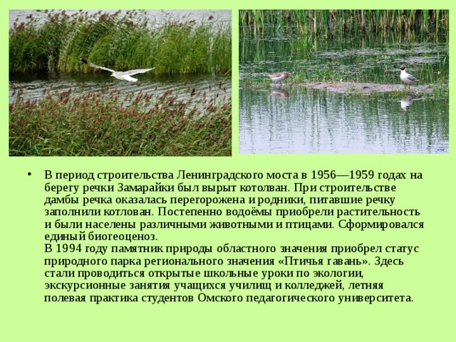 В период строительства Ленинградского моста в 1956—1959 годах на берегу речки Замарайки был вырыт котолван. При строительстве дамбы речка оказалась перегорожена и родники, питавшие речку заполнили котлован. Постепенно водоёмы приобрели растительность и были населены различными животными и птицами. Сформировался единый биогеоценоз.  В 1994 году памятник природы областного значения приобрел статус природного парка регионального значения «Птичья гавань». Здесь стали проводиться открытые школьные уроки по экологии, экскурсионные занятия учащихся училищ и колледжей, летняя полевая практика студентов Омского педагогического университета.