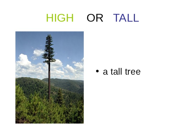 Tall на русском языке. Tall High. High или Tall. Tall High правило. Различия Tall и High.