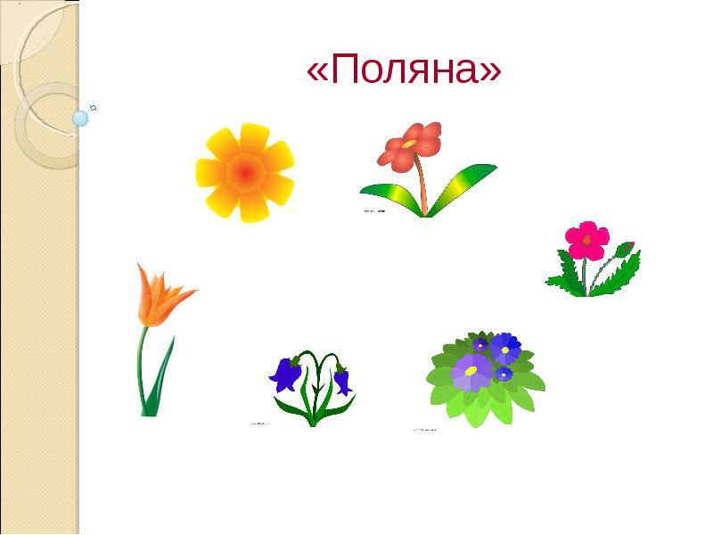 Заполните поля чтобы отобразить картинку flower jpg с высотой 300 пикселей и шириной 750 пикселей