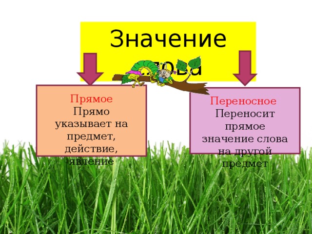 Особенности использования ты и вы в русском языке презентация