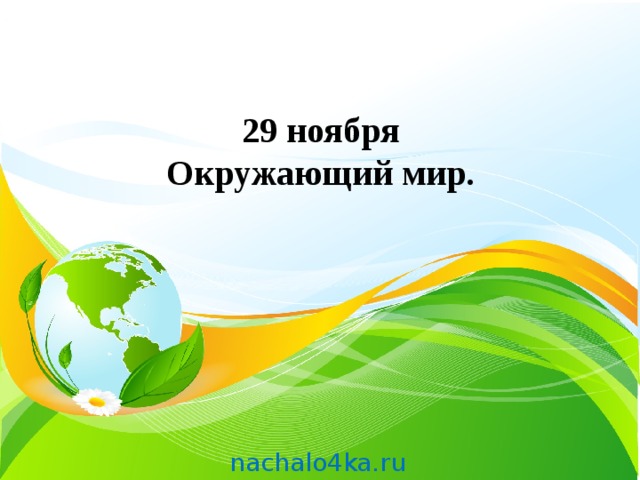 29 ноября  Окружающий мир.    nachalo4ka.ru 