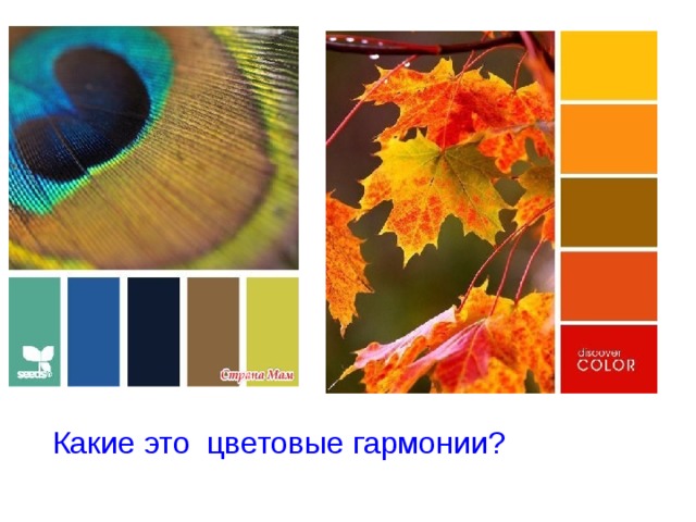 Какие это цветовые гармонии? 