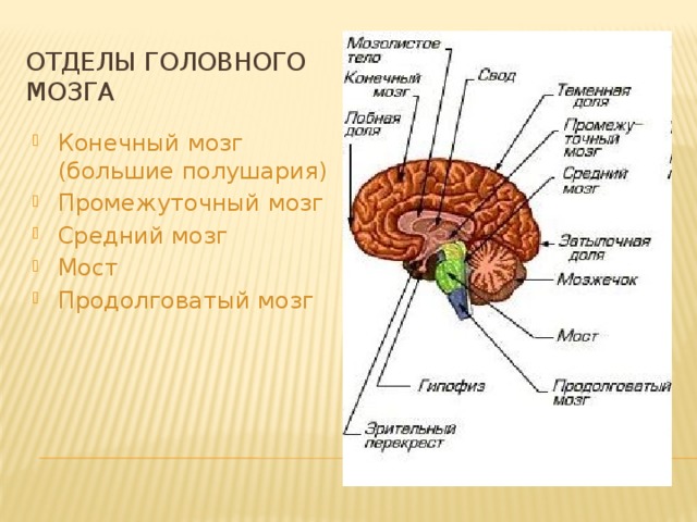 Отдел конечный