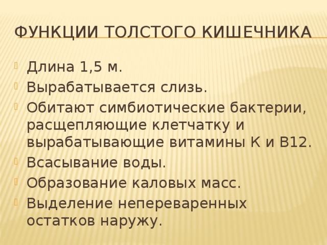 Выполняемые функции толстой кишки. Функции Толстого кишечника.