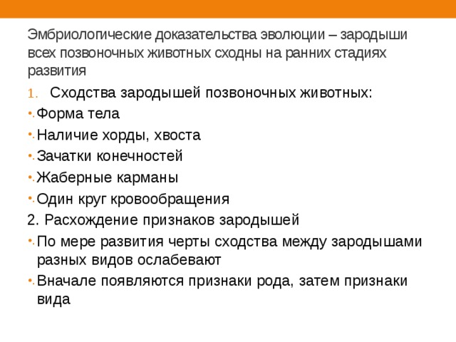 Сходство человека и млекопитающих животных свидетельствует об их родстве и общем плане