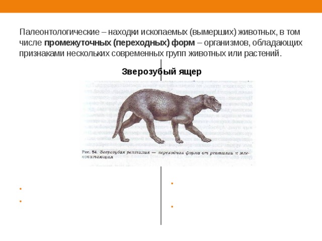 На рисунке изображен эмболотерий вымершее животное обитавшее 37 млн лет назад