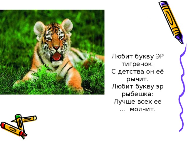 Любит букву ЭР тигренок. С детства он её рычит. Любит букву эр рыбешка: Лучше всех ее … молчит. 