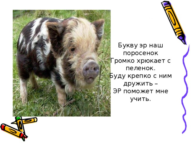 Букву эр наш поросенок Громко хрюкает с пеленок. Буду крепко с ним дружить – ЭР поможет мне учить. 