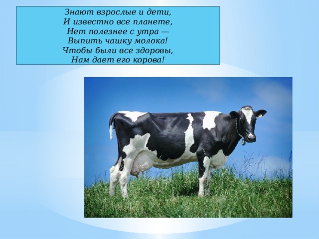 Знают взрослые и дети,  И известно все планете,  Нет полезнее с утра —  Выпить чашку молока!  Чтобы были все здоровы,  Нам дает его корова! 