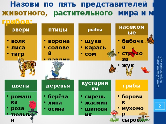 Перечислить представителей