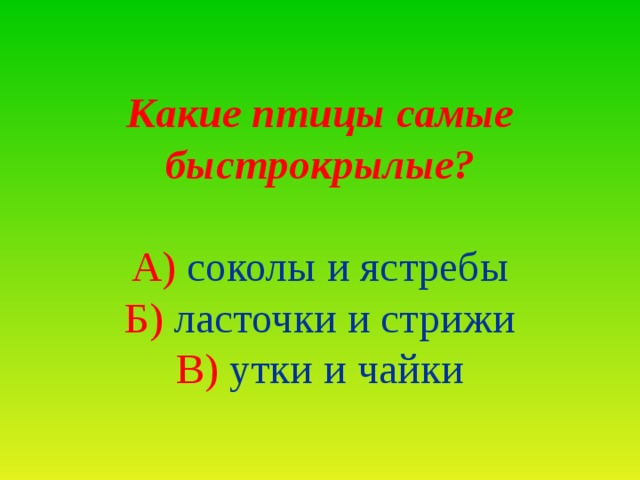 Какие птицы самые быстрокрылые? А) соколы и ястребы Б) ласточки и стрижи В) утки и чайки