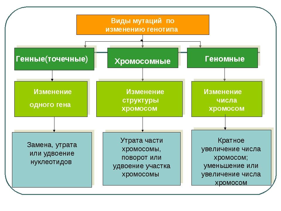 Заполнить схему изменчивость