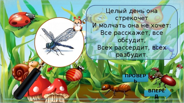 Целый день она стрекочет  И молчать она не хочет:  Все расскажет, все обсудит,  Всех рассердит, всех разбудит. ПРОВЕРЬ ВПЕРЁД 