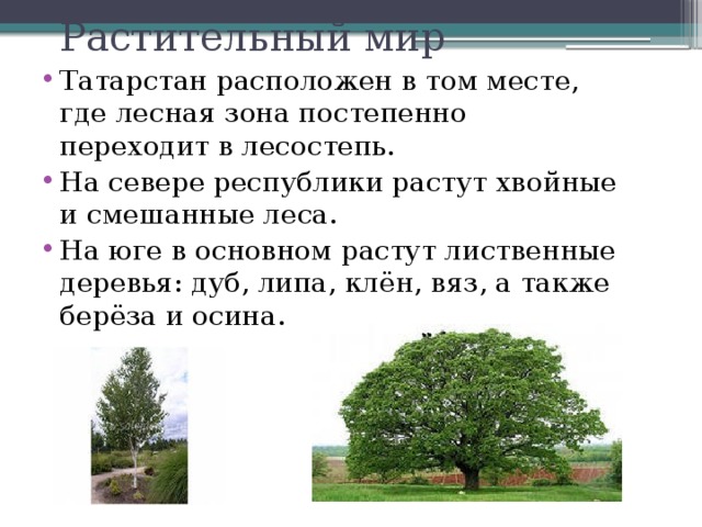 Опишите природный комплекс вашей местности по плану 6 класс тульская область