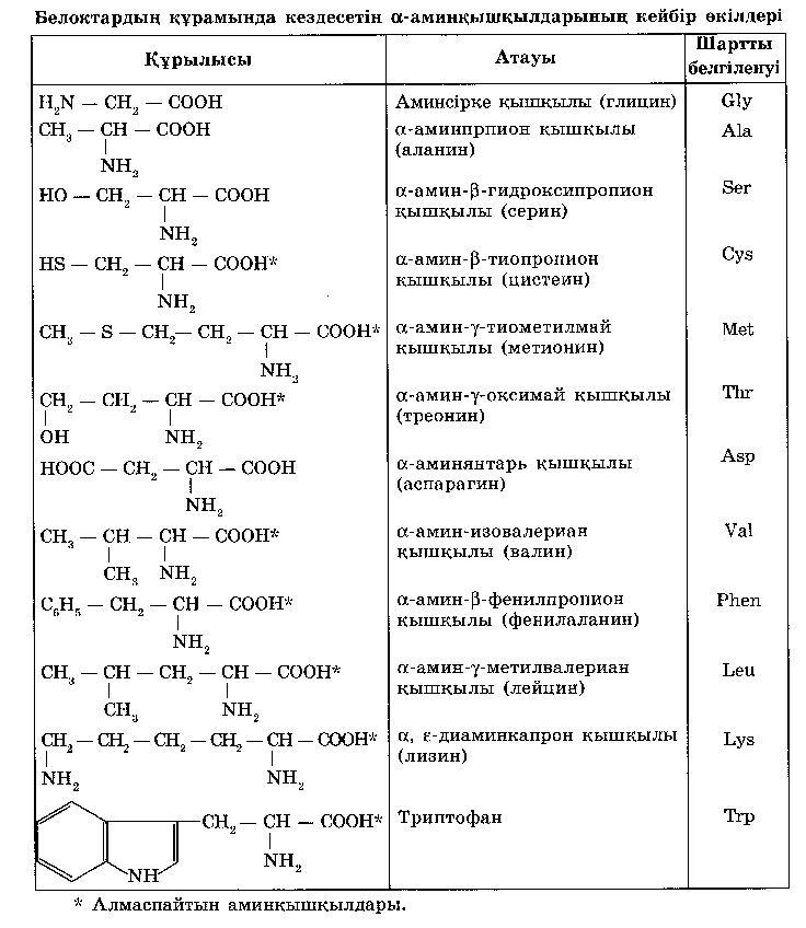 Амин қышқылдары презентация