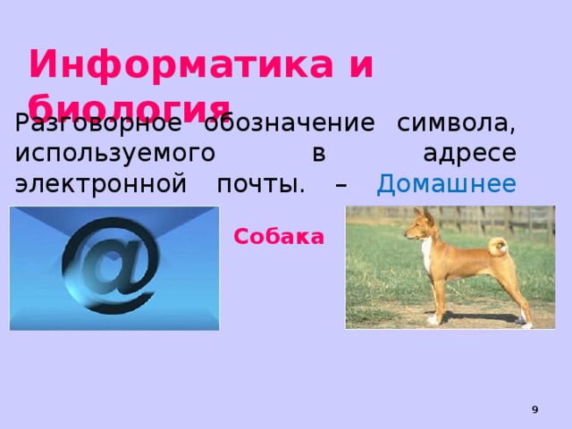 Почему символ собака назвали собакой. Собака Информатика. Название символа собака. История символа собака. Псу в информатике.