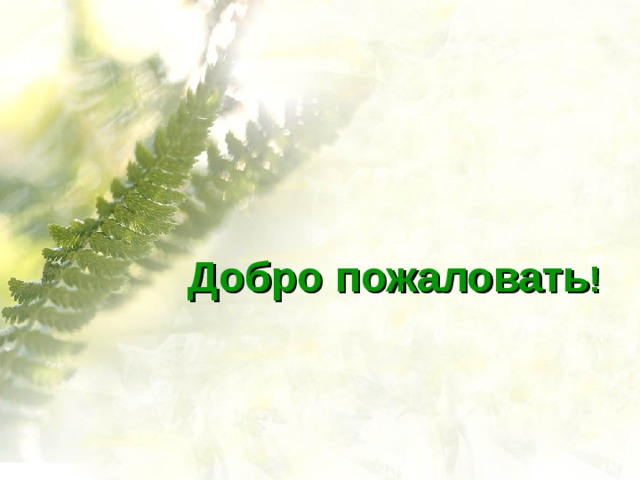 Добро пожаловать !