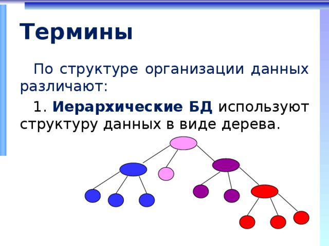 Термины По структуре организации данных различают:  Иерархические БД  используют структуру данных в виде дерева. 