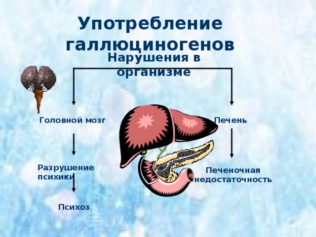 Употребление психостимуляторов Нарушения в организме Резко увеличивают частоту сердечных сокращений и повышают артериальное давление Резко усиливают обмен веществ Дефицит жизненных ресурсов Дистрофия миокарда Инфаркт миокарда Истощение, худоба, старение кожи 