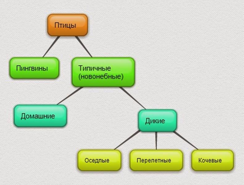 Карта знаний онлайн