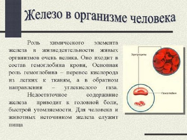 Химическая роль железа. Роль элемента железа в организме человека. Этический элемент железа. Плавление железа и значение для человека. Реклама химического элемента железо чем необходимо живому организму.