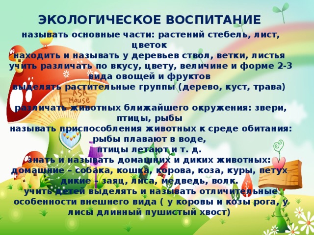 Презентация конец года вторая младшая