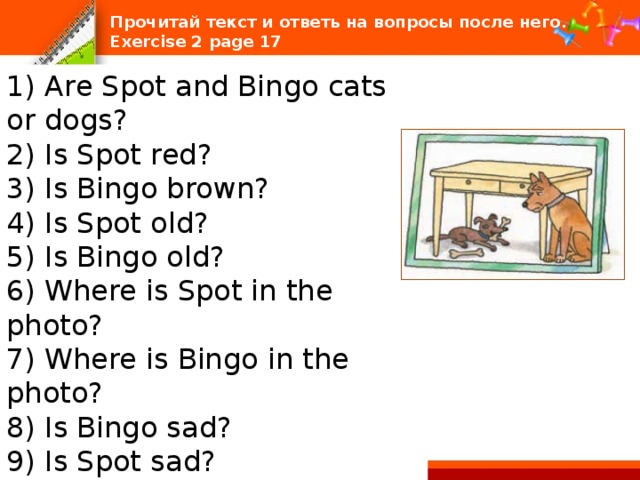 Прочитай текст и ответь на вопросы после него.  Exercise 2 page 17 1) Are Spot and Bingo cats or dogs? 2) Is Spot red? 3) Is Bingo brown? 4) Is Spot old? 5) Is Bingo old? 6) Where is Spot in the photo? 7) Where is Bingo in the photo? 8) Is Bingo sad? 9) Is Spot sad? 10) Are they good pets? 