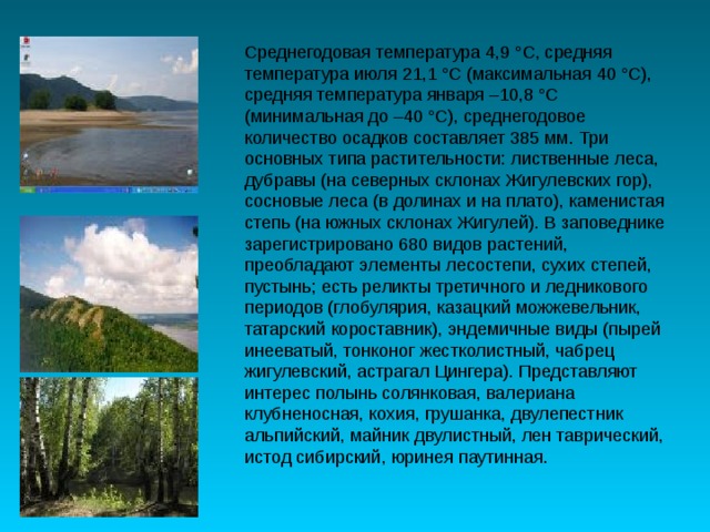 Среднегодовая температура 4,9 °С, средняя температура июля 21,1 °С (максимальная 40 °С), средняя температура января –10,8 °С (минимальная до –40 °С), среднегодовое количество осадков составляет 385 мм. Три основных типа растительности: лиственные леса, дубравы (на северных склонах Жигулевских гор), сосновые леса (в долинах и на плато), каменистая степь (на южных склонах Жигулей). В заповеднике зарегистрировано 680 видов растений, преобладают элементы лесостепи, сухих степей, пустынь; есть реликты третичного и ледникового периодов (глобулярия, казацкий можжевельник, татарский короставник), эндемичные виды (пырей инееватый, тонконог жестколистный, чабрец жигулевский, астрагал Цингера). Представляют интерес полынь солянковая, валериана клубненосная, кохия, грушанка, двулепестник альпийский, майник двулистный, лен таврический, истод сибирский, юринея паутинная. 