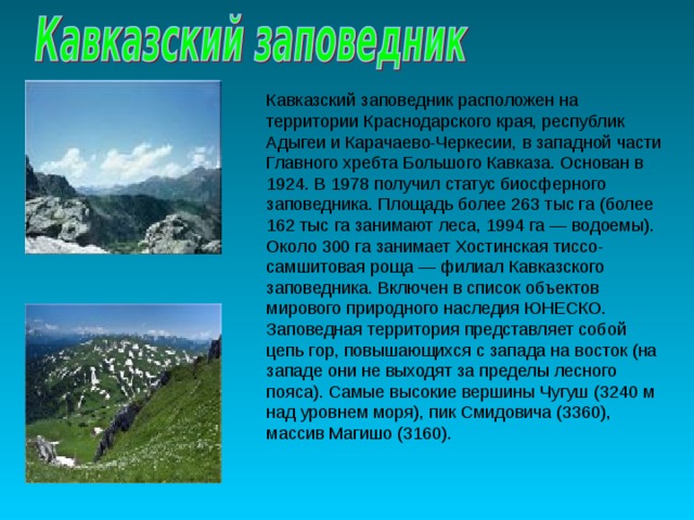 Северный кавказ расположен в природных зонах. Заповедники Краснодарского края доклад. Кавказский заповедник информация. Кавказский заповедник сообщение кратко. Сообщение о заповеднике.