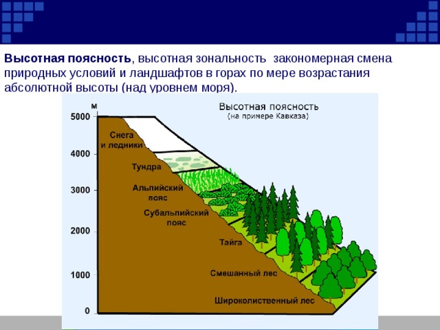 Субтропики высотная поясность в горах 8 класс презентация