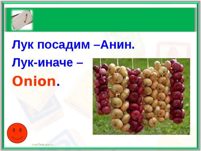 Лук посадим –Анин. Лук-иначе – Onion . 