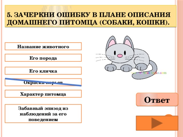 Зачеркни ошибку в плане описания домашнего питомца кошки собаки