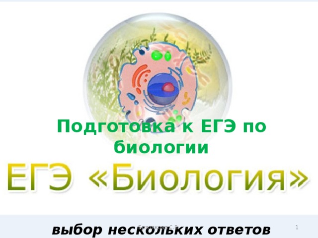 Подготовка к ЕГЭ по биологии     выбор нескольких ответов Братякова С.Б.  