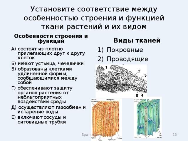 Тест по тканям 6 класс