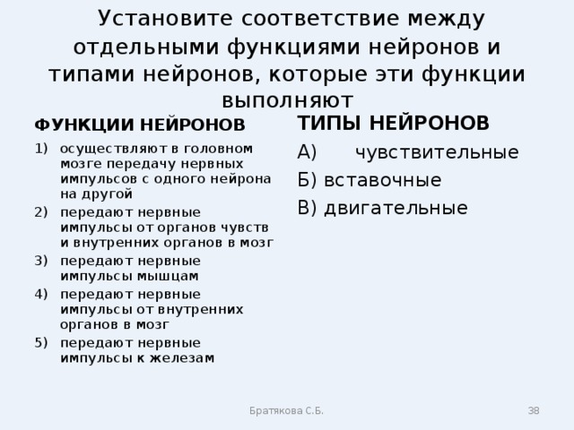  Установите соответствие между отдельными функциями нейронов и типами нейронов, которые эти функции выполняют ФУНКЦИИ НЕЙРОНОВ ТИПЫ НЕЙРОНОВ осуществляют в головном мозге передачу нервных импульсов с одного нейрона на другой передают нервные импульсы от органов чувств и внутренних органов в мозг передают нервные импульсы мышцам передают нервные импульсы от внутренних органов в мозг передают нервные импульсы к железам А)  чувствительные Б) вставочные В) двигательные Братякова С.Б.  