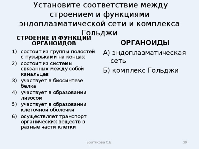  Установите соответствие между строением и функциями эндоплазматической сети и комплекса Гольджи СТРОЕНИЕ И ФУНКЦИИ ОРГАНОИДОВ ОРГАНОИДЫ состоит из группы полостей с пузырьками на концах состоит из системы связанных между собой канальцев участвует в биосинтезе белка участвует в образовании лизосом участвует в образовании клеточной оболочки осуществляет транспорт органических веществ в разные части клетки А) эндоплазматическая сеть Б) комплекс Гольджи Братякова С.Б.  